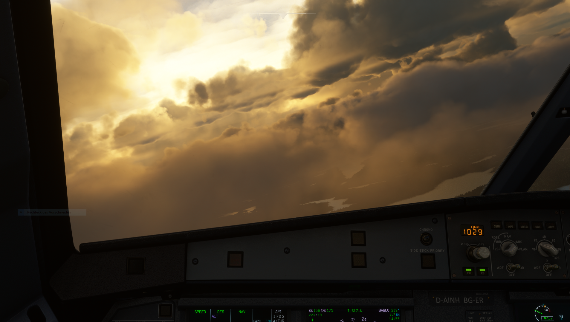 A320neo Coaching Video Cold und Dark bis Shutdown